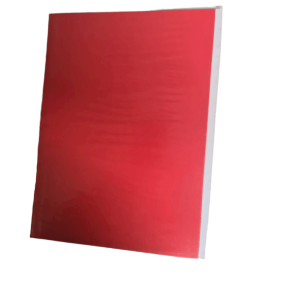 CARPETA PLASTIFICADA ROJO